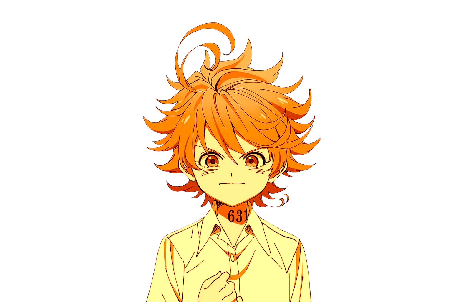 Everything To Know About The Promised Neverland Fandom