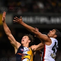 Round 23 2015 West Coast Eagles Wiki Fandom