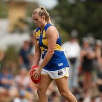 Danika Pisconeri West Coast Eagles Wiki Fandom