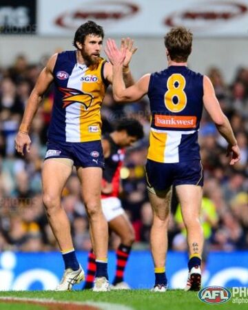 Number 8 West Coast Eagles Wiki Fandom - Eagles 6 8 Rugby Player Number 8 West Coast Eagles Wiki Fandom - Eagles 6 8 Rugby Player