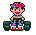 Ness Kart