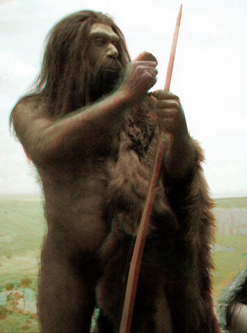 File:Neanderthal 2D src.jpg
