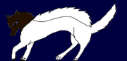 Wiki4