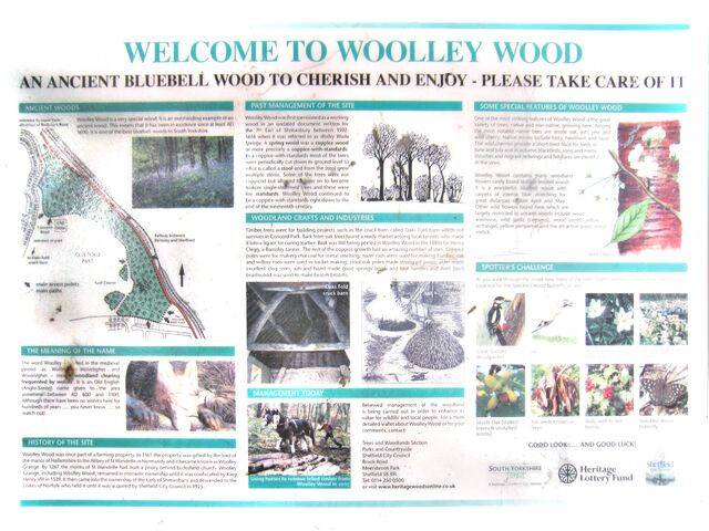 File:Woolley-wood.jpg