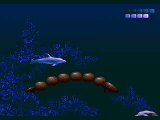 Ecco2005