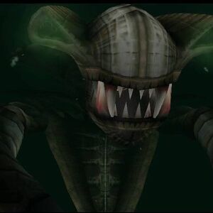ecco the dolphin
