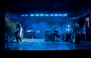 Echostream-25