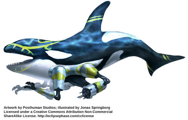 File:Neo-CetaceanMorph2 JonasSpringborg.png