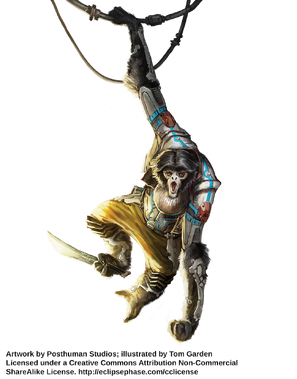 HypergibbonPodMorph TomGarden