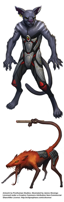 CritterMorph JamesMosingo