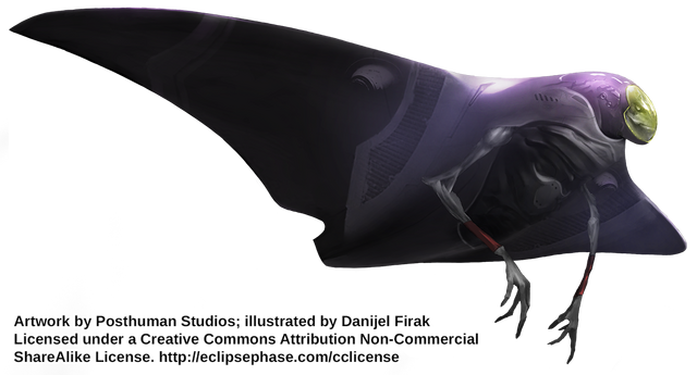 File:CloudSkate DanijelFirak.png
