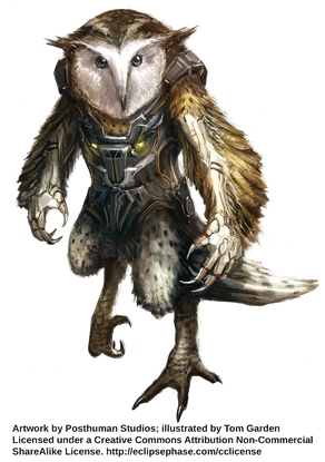 ChickcharnieMorph TomGarden