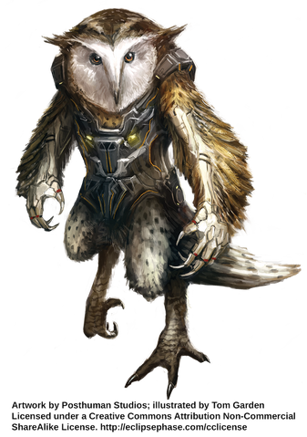 File:ChickcharnieMorph TomGarden.png