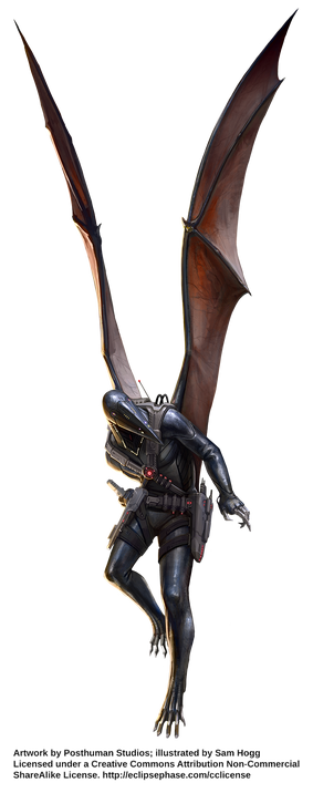ArielMorph SamHogg