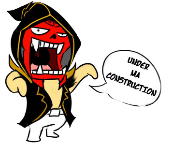 DS CONSTRUCTION