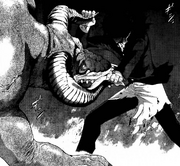 Arita fighting Chimera