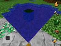 Pond