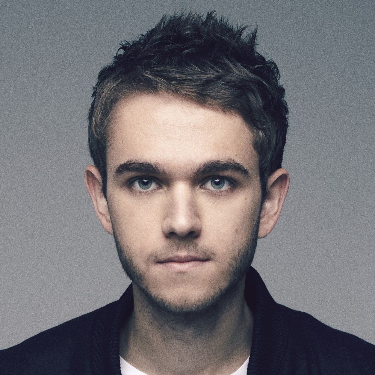zedd edm wiki fandom powered by wikia zedd edm wiki fandom powered by wikia