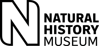 natural history museum ed sheeran wiki fandom natural history museum ed sheeran