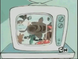 Fish-Bowl-2