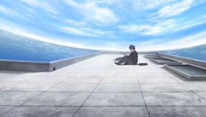 School Roof