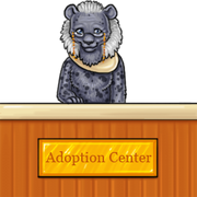 Adoption