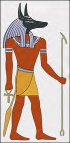 Anubis standing