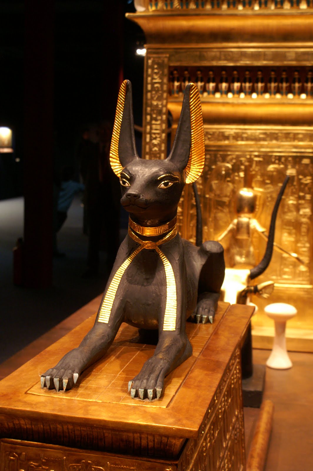 anubis-ancient-egypt-wiki-fandom-powered-by-wikia