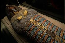 Coffinakhenaten