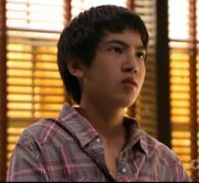 Bernard