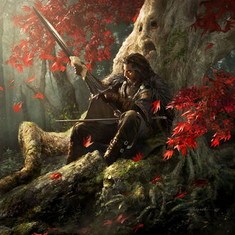 Eddard Eis Michael Komarck