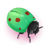 https://vignette.wikia.nocookie.net/eldarya/images/f/fe/Coccinelle_V%C3%A9nimeuse.png/revision/latest?cb=20150302140221&path-prefix=fr