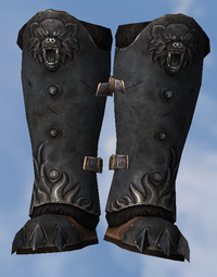 Stormking Boots