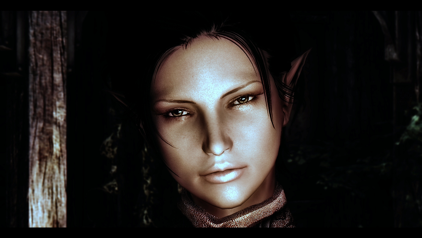 Elven Follower Aranya Elderscrolls Mod Wiki Fandom Powered By Wikia