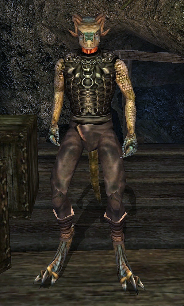 GamKur (Morrowind) Elder Scrolls Fandom