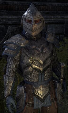 File:General Am-Shadal 2.jpeg