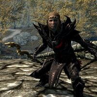 Staves Skyrim Elder Scrolls Fandom