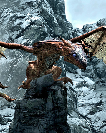 Dragons Skyrim Elder Scrolls Fandom