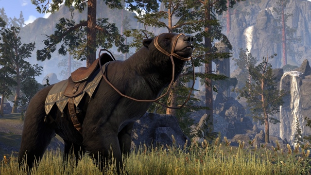 File:Black Bear Mount.png
