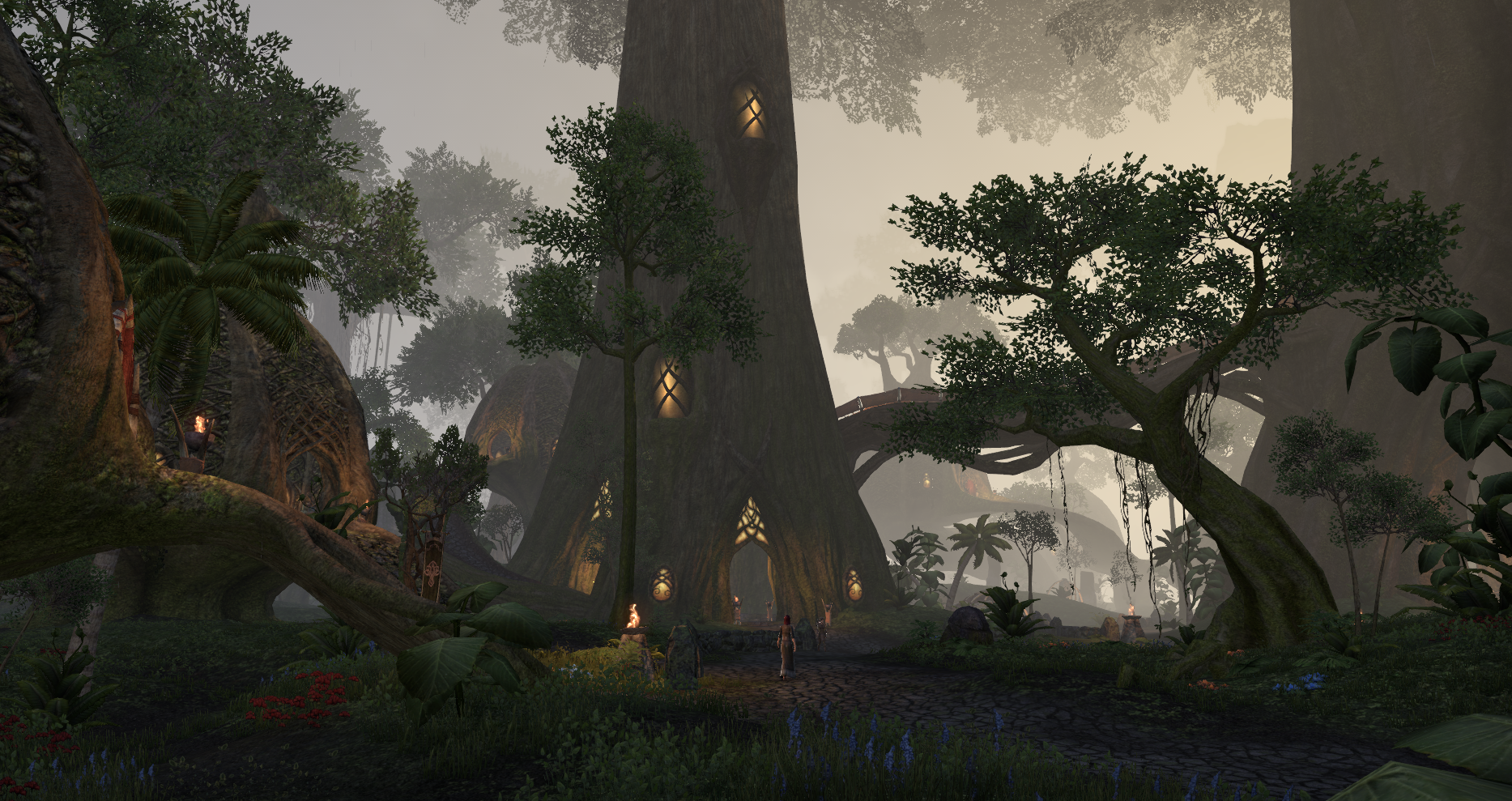 cormount elder scrolls fandom
