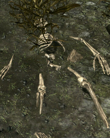 The Straw That Broke Elder Scrolls Fandom