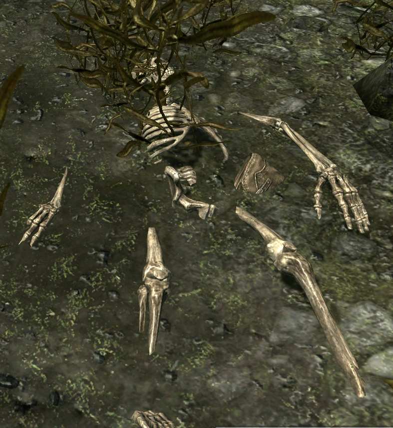 The Straw that Broke Elder Scrolls FANDOM powered by Wikia