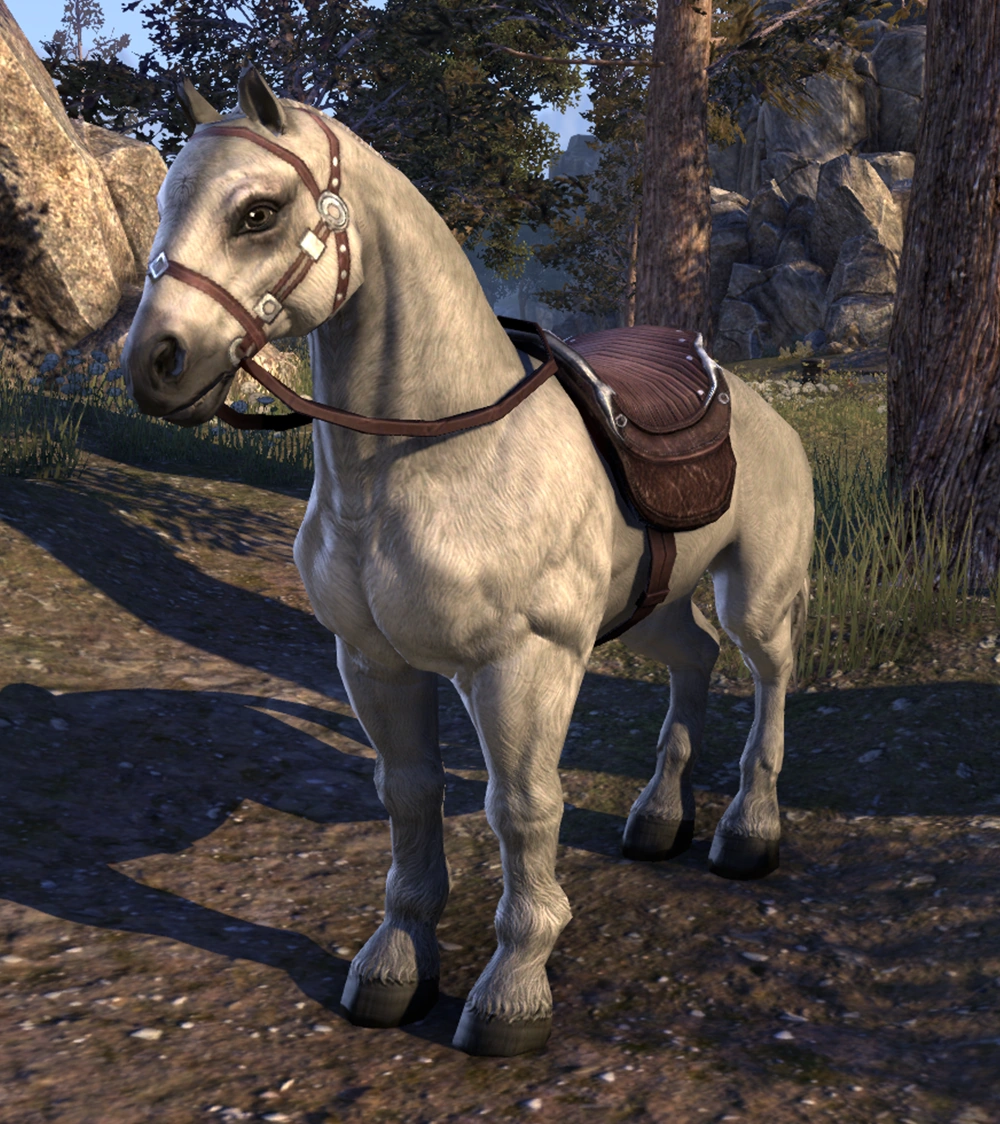 Snow (Horse) Elder Scrolls FANDOM powered by Wikia