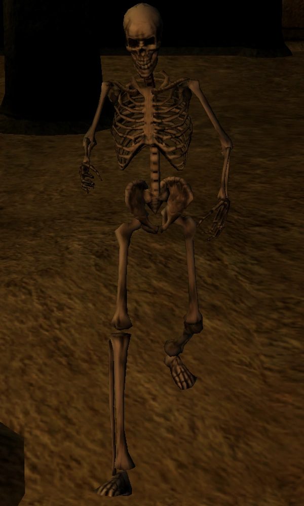 Crippled Skeleton | Elder Scrolls | FANDOM powered by Wikia