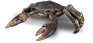 B-d-mudcrab