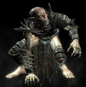 Falmer 1
