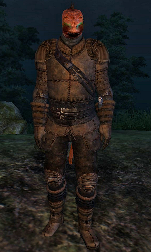 oblivion character overhaul khajiit