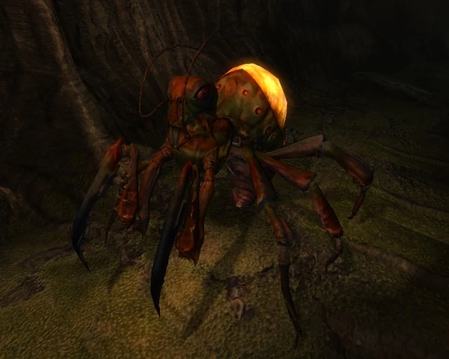 https://vignette.wikia.nocookie.net/elderscrolls/images/1/1c/Elytra_of_Mania.jpg/revision/latest?cb=20120916193153&path-prefix=ru