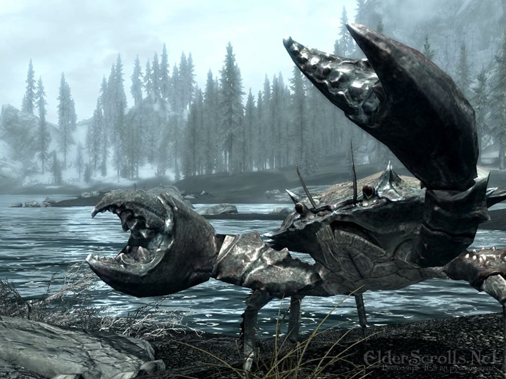 mudcrab skyrim elder scrolls fandom powered by wikia skyrim creature size variants
