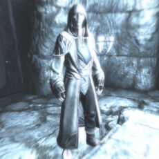 Nerien visione